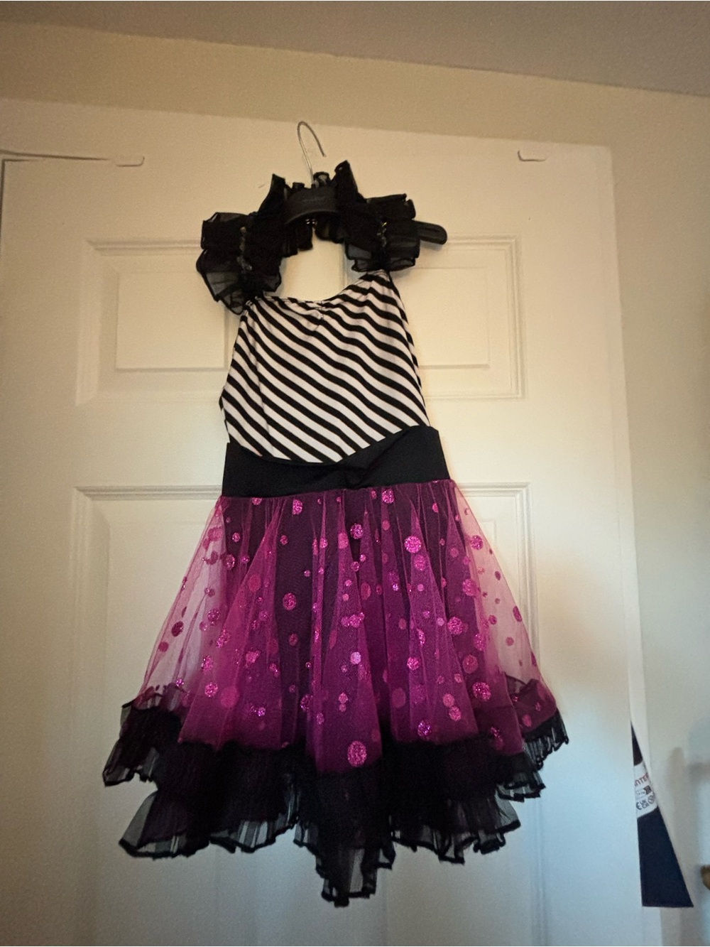 Revolution Black & Fuchsia Striped Sparkle Tulle Dance Costume